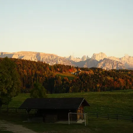 Hotel Mesnerwirt 2*